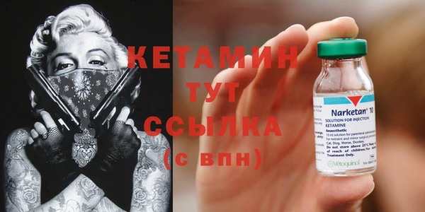 индика Богданович