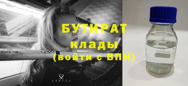 индика Богданович