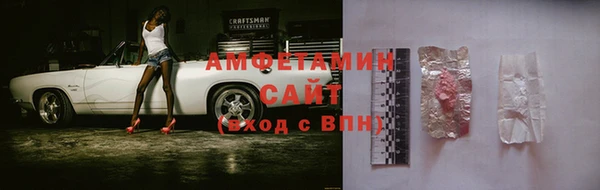 индика Богданович