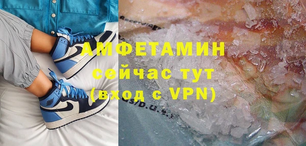 индика Богданович