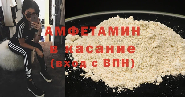 индика Богданович