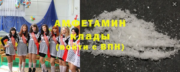 индика Богданович