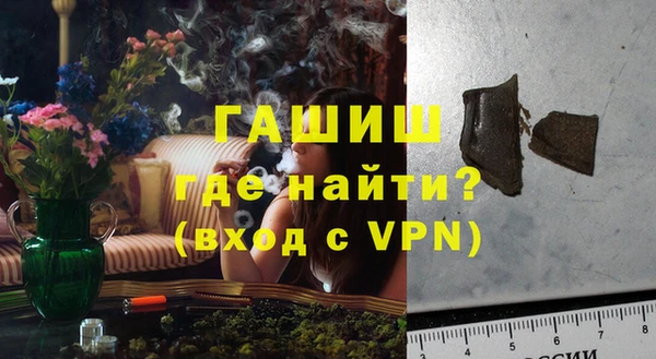 индика Богданович
