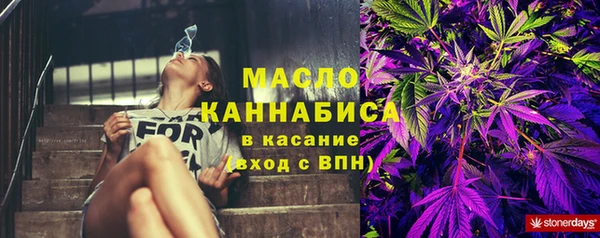 индика Богданович