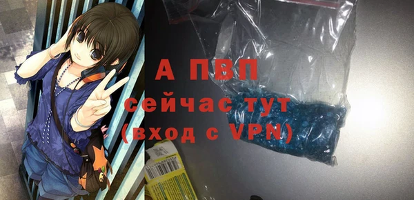 индика Богданович