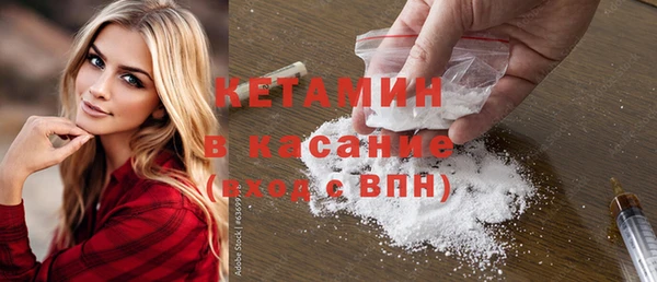 индика Богданович