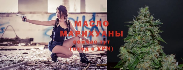 индика Богданович
