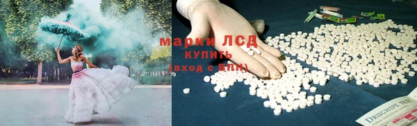 индика Богданович